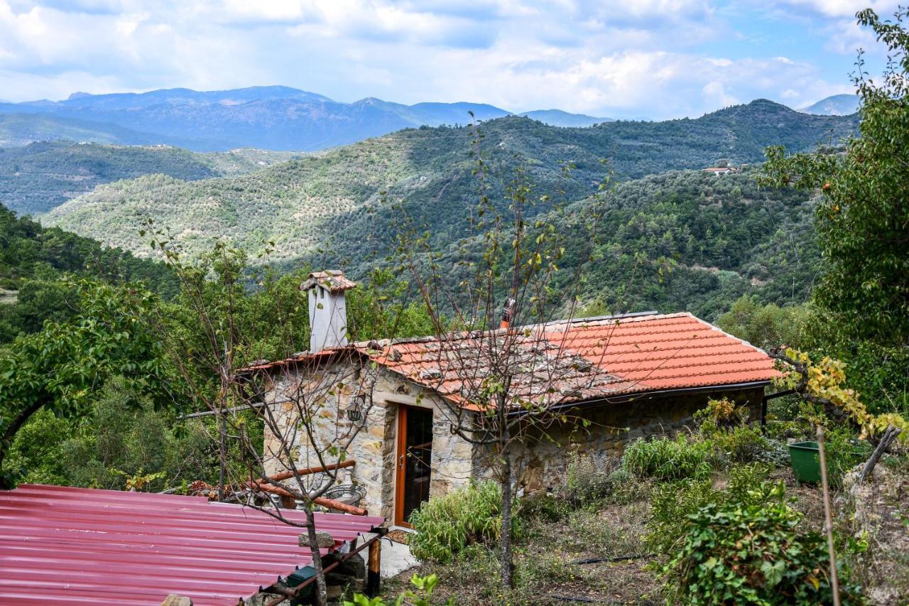 הוילה אפריקלה Casa Lucertola מראה חיצוני תמונה