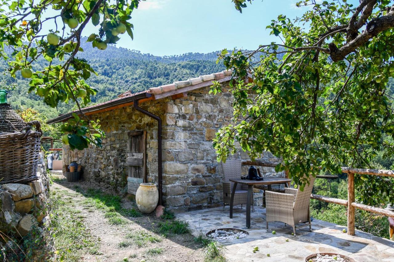 הוילה אפריקלה Casa Lucertola מראה חיצוני תמונה